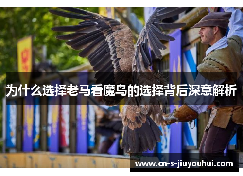 为什么选择老马看魔鸟的选择背后深意解析